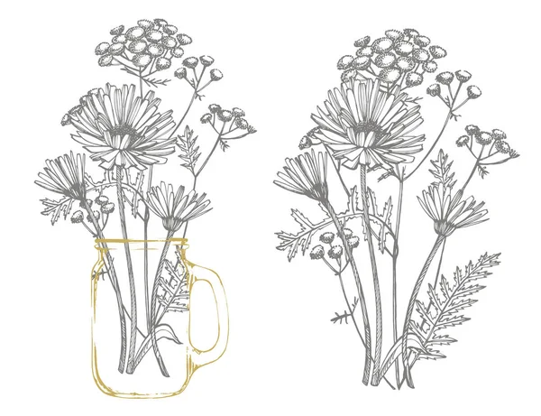 Blue Cornflower Herb o ramo de flores de botón de soltero aislado sobre fondo blanco. Conjunto de dibujos acianos, elementos florales, ilustración botánica dibujada a mano — Vector de stock