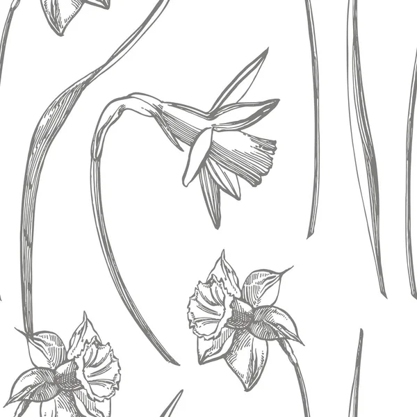 Påsklilja eller Narcissus blomster ritningar. Insamling av handritade svart och vit påsklilja. Handritade botaniska illustrationer. Sömlösa mönster — Stock vektor