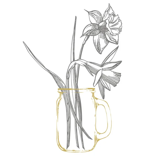 수선화 또는 수선화 꽃 그림. 손으로 그린 흑백 수선화의 컬렉션입니다. 손으로 그린 식물 일러스트레이션 — 스톡 벡터
