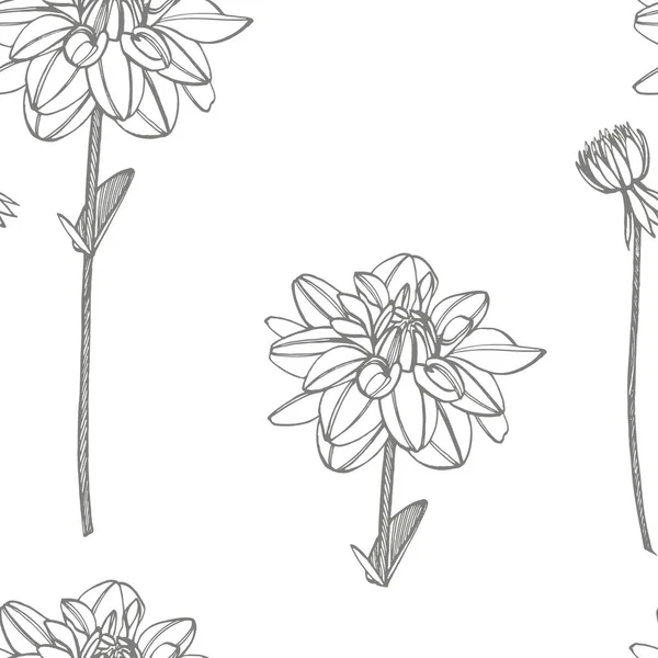 Handritade bläck Dahlias. Blom element. Grafiska blommor illustrationer. Botaniska växt illustration. Vintage medicinalväxter skiss uppsättning av bläck handritade medicinska örter och växter skiss. Sömlös — Stock vektor
