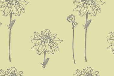 Elle çizilmiş mürekkep dahlias. Çiçek elementleri. Grafik çiçekler illüstrasyonlar. Botanik bitki illüstrasyon. Mürekkep el çizilmiş tıbbi otlar ve bitkiler kroki Vintage şifalı otlar kroki seti