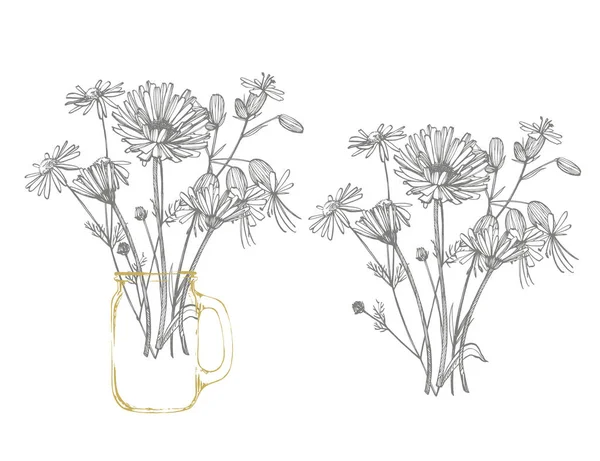 Blu Fiordaliso Erba o bachelor bouquet di fiori pulsante isolato su sfondo bianco. Set di fiori di mais da disegno, elementi floreali, illustrazione botanica disegnata a mano — Vettoriale Stock