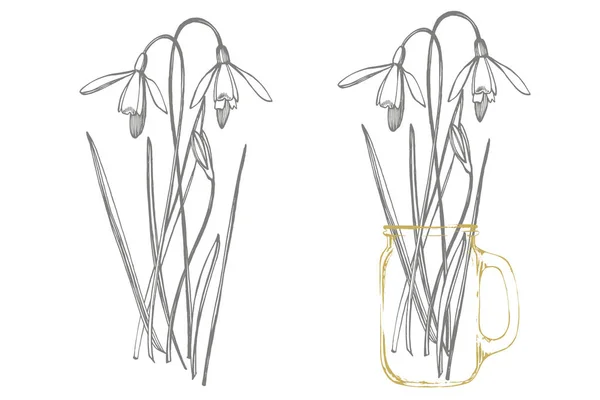 雪滴の春の花。植物のイラスト。ヴィンテージ薬草スケッチインク手描きの医療ハーブや植物のスケッチのセット — ストックベクタ