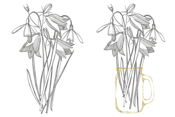 ベルフラワーの花、葉、花束セット。自然の夏、春の草原植物モノクロ。ポスター、テキスタイルの装飾のための花の自然なイラスト。植物のイラスト — ストックベクタ