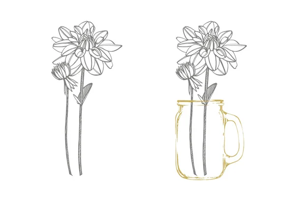 손으로 그린 잉크 달리아. 꽃 요소. 그래픽 꽃 그림입니다. 식물 그림입니다. 빈티지 약초 스케치 세트 의 잉크 손으로 그린 의료 허브와 식물 스케치 — 스톡 벡터