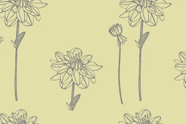 Handritade bläck Dahlias. Blom element. Grafiska blommor illustrationer. Botaniska växt illustration. Vintage medicinalväxter skiss uppsättning av bläck handritade medicinska örter och växter skiss — Stock vektor