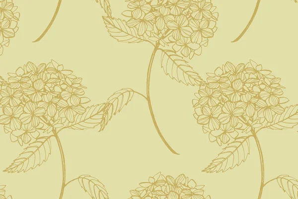 Hydrangea графическая иллюстрация в винтажном стиле. Цветы рисуют и рисуют на белом фоне. Ботаническая иллюстрация растений. Абстрактный текст — стоковый вектор