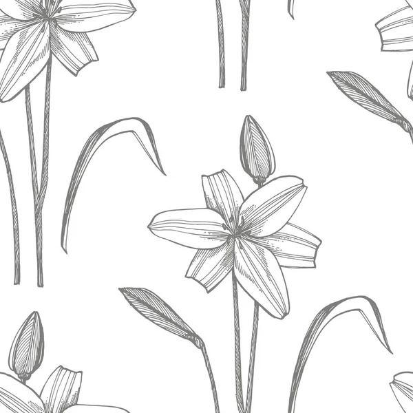 Lily blommor. Botanisk illustration. Bra för kosmetika, medicin, behandling, aromaterapi, omvårdnad, paket design, fält bukett handritade vilda hö blommor — Stock vektor