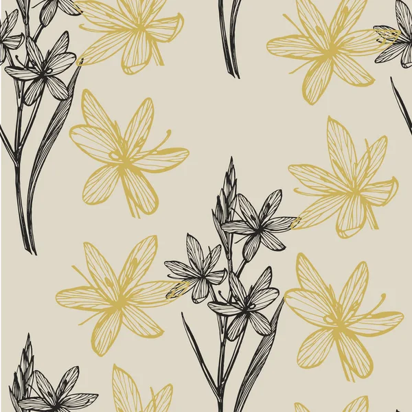 Kafir Lilies flores. Coleção de flores e plantas desenhadas à mão. Botânica. Preparado. Flores vintage. Ilustração em preto e branco no estilo de gravuras. Padrão sem costura — Vetor de Stock