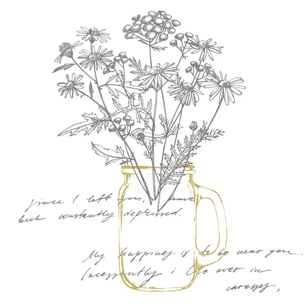 El buketi çizilmiş çiçekler ve otlar. Botanik bitki illüstrasyon. Mürekkep el çizilmiş tıbbi otlar ve bitkiler kroki Vintage şifalı otlar kroki seti — Stok Vektör