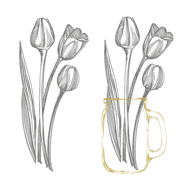 튤립 꽃 그래픽 스케치 일러스트 레이션입니다. 식물 그림입니다. 빈티지 약초 스케치 세트 의 잉크 손으로 그린 의료 허브와 식물 스케치 — 스톡 벡터