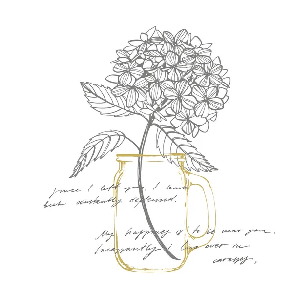 Ilustración gráfica de hortensias en estilo vintage. Dibujo de flores y boceto con línea de arte sobre fondos blancos. Ilustración de plantas botánicas. Texto abstracto manuscrito — Vector de stock