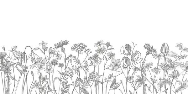 Sammlung handgezeichneter Blumen und Kräuter. botanische Pflanzenillustration. Vintage Heilkräuter Skizzenset mit Tusche handgezeichnete Heilkräuter und Pflanzen Skizze. — Stockvektor