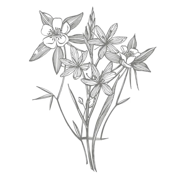 Collection de fleurs et de plantes dessinées à la main. Botanique. Prêt. Fleurs anciennes. Illustration en noir et blanc dans le style des gravures — Image vectorielle