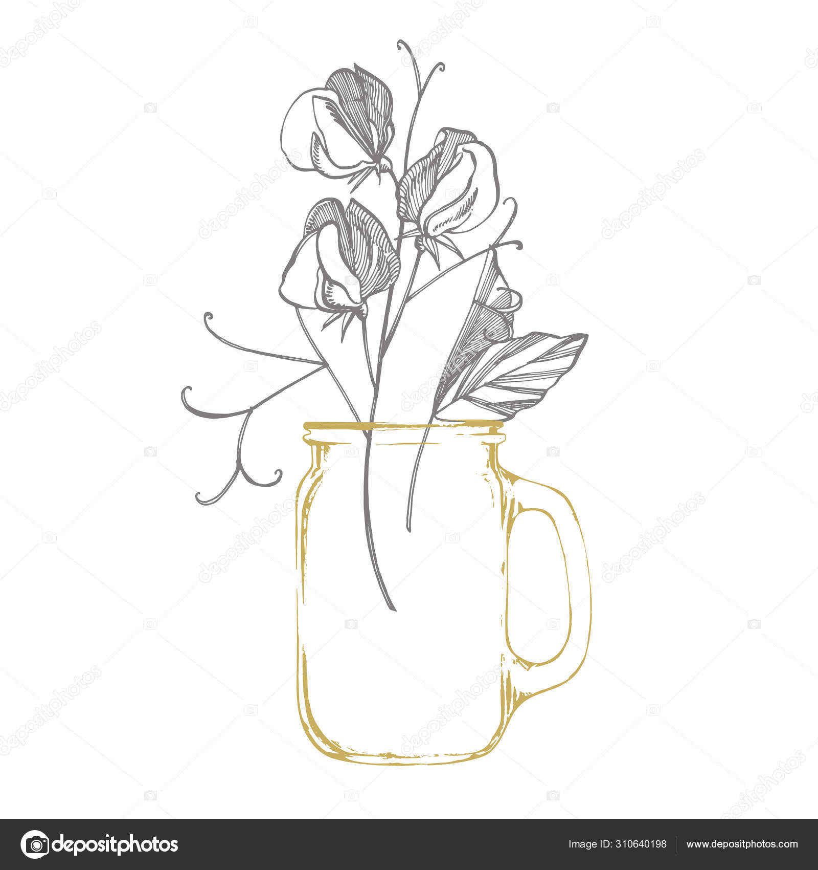 Sweet Pea Flowers Drawing And Sketch With Line Art On White Backgrounds Floral Pattern With Flowers Of Sweet Peas Elegant The Template For Fabric Paper Postcard Stock Vector C Asetrova 310640198