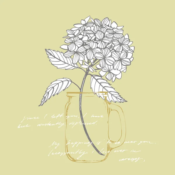 Hydrangea ilustração gráfica em estilo vintage. Desenho de flores e esboço com linha-arte em fundos brancos. Ilustração botânica da planta. Texto abstrato manuscrito — Vetor de Stock