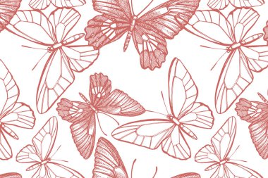 Kelebek siluetleri. Romantik arka planda kelebek kartı şablonu. Grafik illüstrasyon