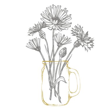 Tansy ve papatya. El çizilmiş çiçekler ve otlar buket. Botanik bitki illüstrasyon. El yazısı soyut metin duvar kağıdı