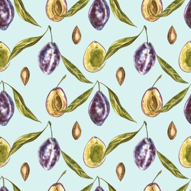 Olgun erik ve çiçek ile dal. Erik çizim suluboya beyaz arka plan üzerinde izole. Suluboya botanik illüstrasyon. Dikişsiz desenler.