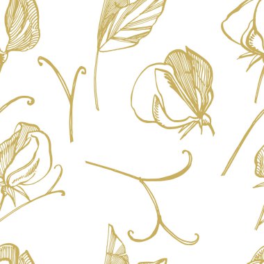 Beyaz arka planlar üzerinde çizgi sanatı ile çizim ve kroki tatlı bezelye çiçekler. Tatlı bezelye çiçekleri ile çiçek deseni. Zarif kumaş, kağıt, kartpostal için şablon. Dikişsiz desen