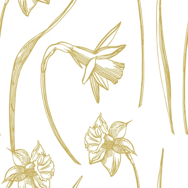 Desenhos de flores de Daffodil ou Narciso. Coleção de mão desenhado narciso preto e branco. Ilustrações Botânicas Desenhadas à Mão. Padrões sem costura — Vetor de Stock