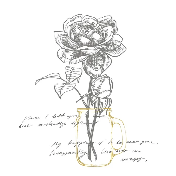 Rose. Illustrazioni di fiori disegnati a mano. Illustrazione botanica delle piante. Testo astratto scritto a mano — Vettoriale Stock
