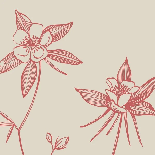 Fiori a doppia colonnina. Raccolta di fiori e piante disegnati a mano. Botanica. Pronti. Fiori vintage. Illustrazione in bianco e nero nello stile delle incisioni — Vettoriale Stock