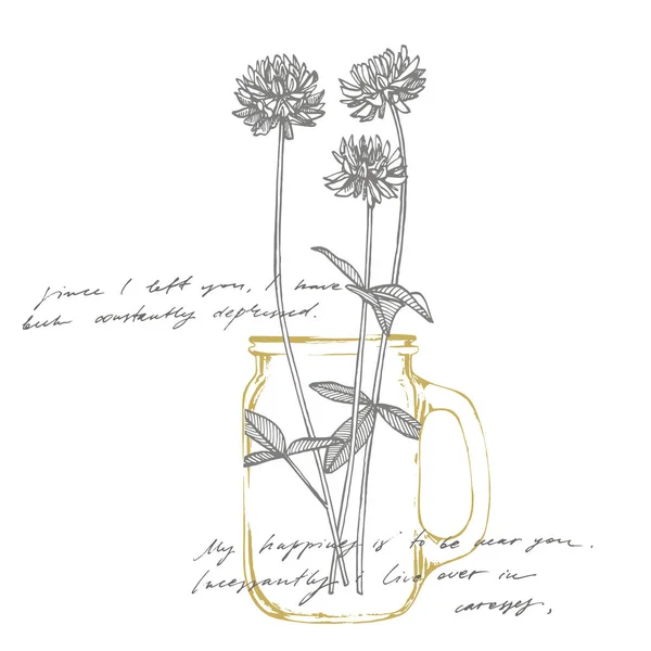 Kleepflanzen. botanische Illustration. gut für Kosmetik, Medizin, Behandlung, Aromatherapie, Pflege, Verpackungsdesign, Feldstrauß handgeschriebene abstrakte Text-Tapete. Nachahmung eines abstrakten Jahrgangs — Stockvektor