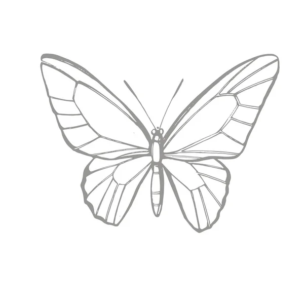 Siluetas de mariposas. Iconos de mariposa aislados sobre fondo blanco. Ilustración gráfica — Vector de stock