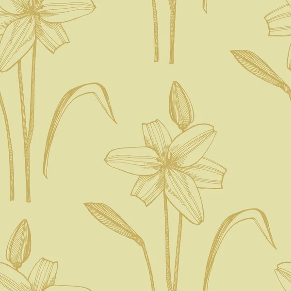 Τα λουλούδια της Λίλι. Βοτανική απεικόνιση. Καλό για τα καλλυντικά, ιατρική, θεραπεία, αρωματοθεραπεία, θηλάζετε, σχέδιο συσκευασίας, μπουκέτο κουτί χέρι τράβηξε άγρια λουλούδια σανό — Διανυσματικό Αρχείο