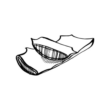 Aloe Vera beyaz arka planda bitki yetiştiriyor. Grafik çizimi agave, aloe vera, sulu, yeşil bitki. Aloe Vera 'nın botanik grafik çizimi.