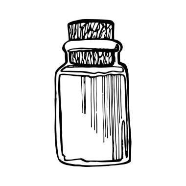 Aloe Vera şişedeki bitki. Grafik çizimi agave, aloe vera, sulu, yeşil bitki. Aloe Vera 'nın botanik grafik çizimi.