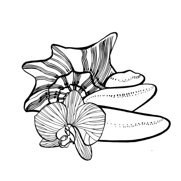 Zeestenen, bloemen en schelpen. Set van grafisch grijze beige stenen geïsoleerd op witte achtergrond. SPA concept. Kan worden gebruikt als achtergrond voor webpagina 's bruiloft uitnodigingen, wenskaarten, ansichtkaarten — Stockvector