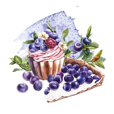 Yabanmersini. Suluboya botanik illüstrasyon. El çizimi suluboya beyaz zemin üzerine yaban mersini boyama.