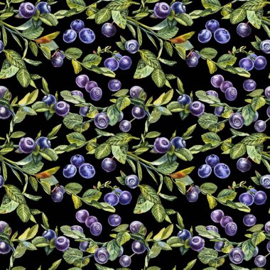 Yabanmersini. Kusursuz desenler. Suluboya botanik illüstrasyon. El çizimi suluboya beyaz zemin üzerine yaban mersini boyama.