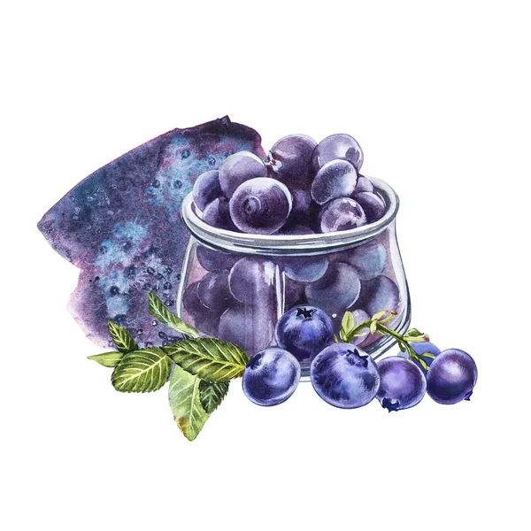 Blaubeeren. Aquarell botanische Illustration. Handgezeichnete Aquarellmalerei Blaubeere auf weißem Hintergrund. — Stockfoto