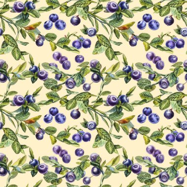 Yabanmersini. Kusursuz desenler. Suluboya botanik illüstrasyon. El çizimi suluboya beyaz zemin üzerine yaban mersini boyama.