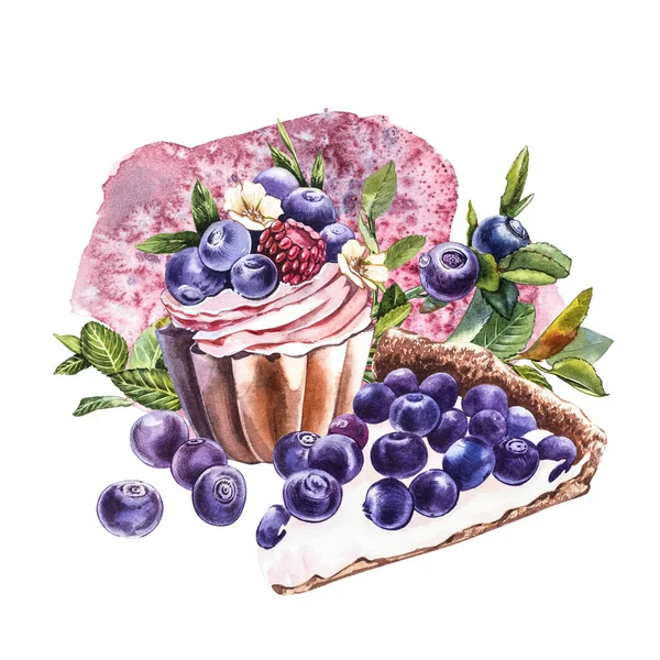 蓝莓水彩画植物图解。白色背景的手绘水彩画蓝莓. — 图库照片
