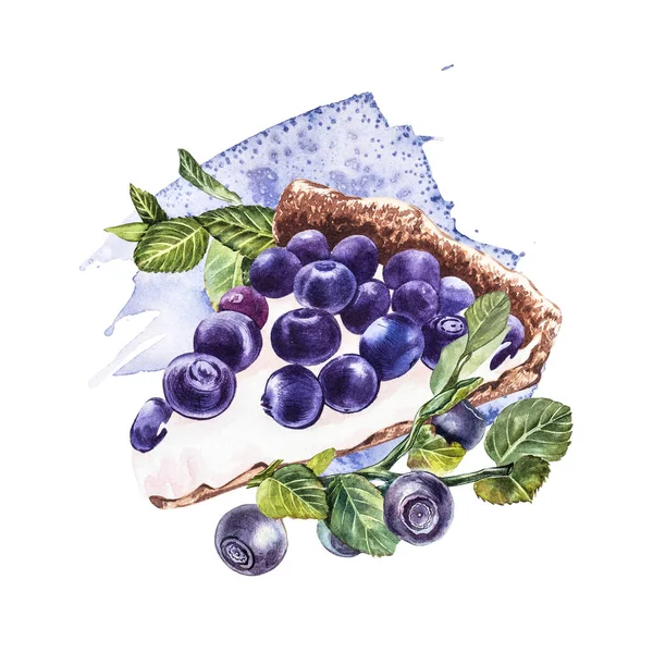 Βατόμουρο. Υδατογραφία βοτανική απεικόνιση. Χειροποίητο ακουαρέλα ζωγραφική blueberry σε λευκό φόντο. — Φωτογραφία Αρχείου
