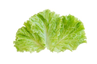 Salata yaprağı. Beyaz arka plan üzerinde izole marul. kırpma yolu ile