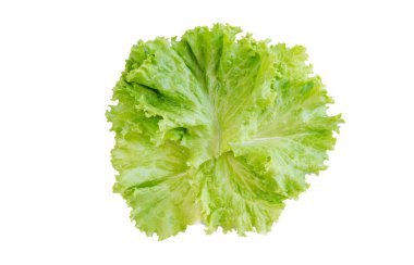 Salata yaprağı. Beyaz arka plan üzerinde izole marul. kırpma yolu ile