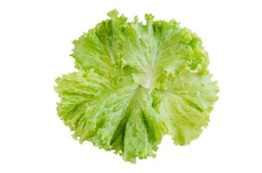 Salata yaprağı. Beyaz arka plan üzerinde izole marul. kırpma yolu ile