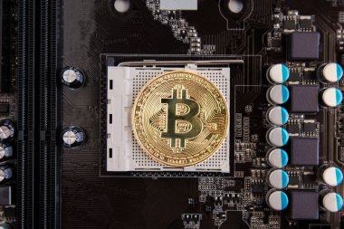 Cryptocurrency altın Bitcoin sikke anakartla, madenci devre kartı ile havuz