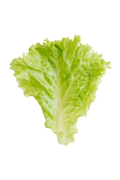 Salad Leaf Lettuce Isolated White Background Clipping Path — Stock Photo, Image