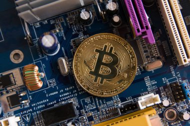 Cryptocurrency altın Bitcoin sikke anakartla, madenci devre kartı ile havuz