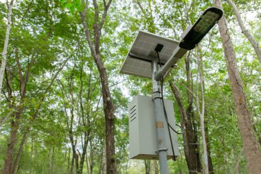 açık aydınlatma direği, kamu parkta küçük güneş pili paneli ile sokak ışığı led kutup