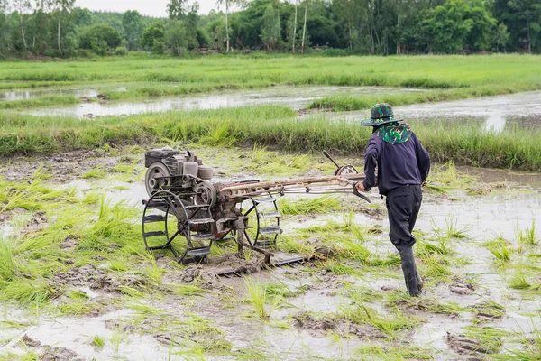 Máquina Arados Agricultor Que Utiliza Tractor Caminando Arando Campo Arroz —  Fotos de Stock