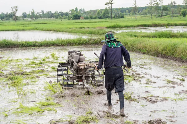 耕作機 米を栽培する地域を準備するために田んぼで耕す歩行トラクターを使用して農家 — ストック写真