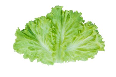 Salata yaprağı. Beyaz arka plan üzerinde izole marul. kırpma yolu ile