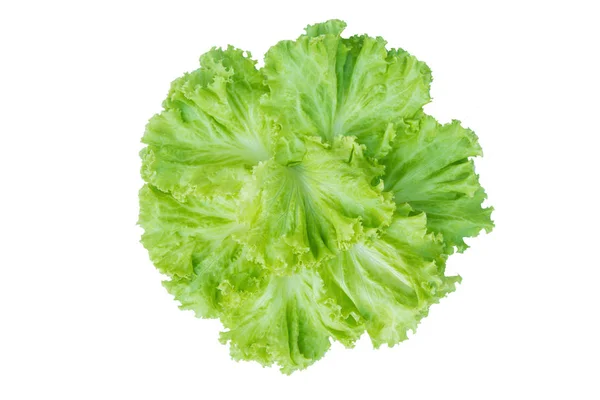 Salatblatt Vorhanden Salat Isoliert Auf Weißem Hintergrund Mit Schnittpfad — Stockfoto